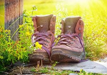 Kräuterwanderungen daniela schiml